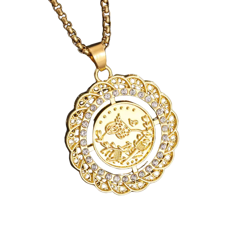 Shiny Zircon Wrap Round Coin Pendant Necklace