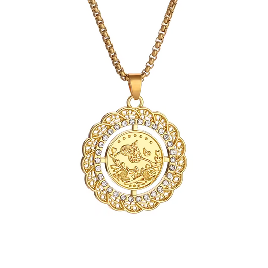 Shiny Zircon Wrap Round Coin Pendant Necklace